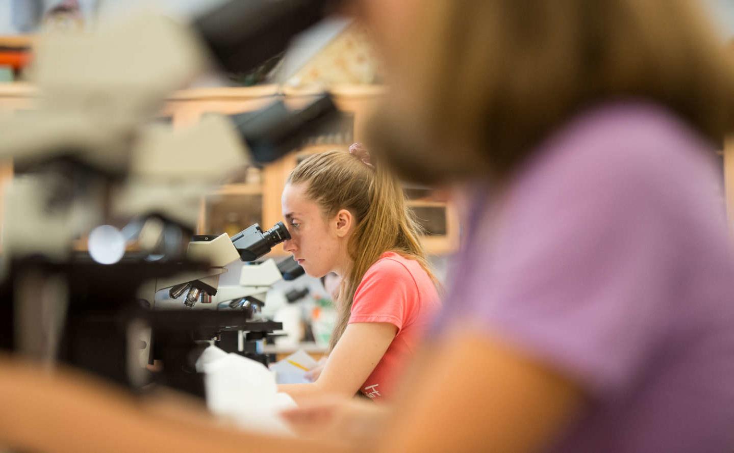 实验室学生专注于显微镜