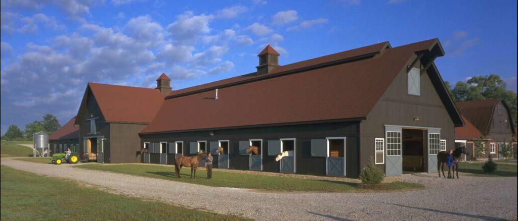 The equine facility with several horses heads out the stall windows and a blue sky.